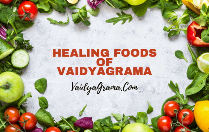 Healing Foods of Vaidyagrama 1